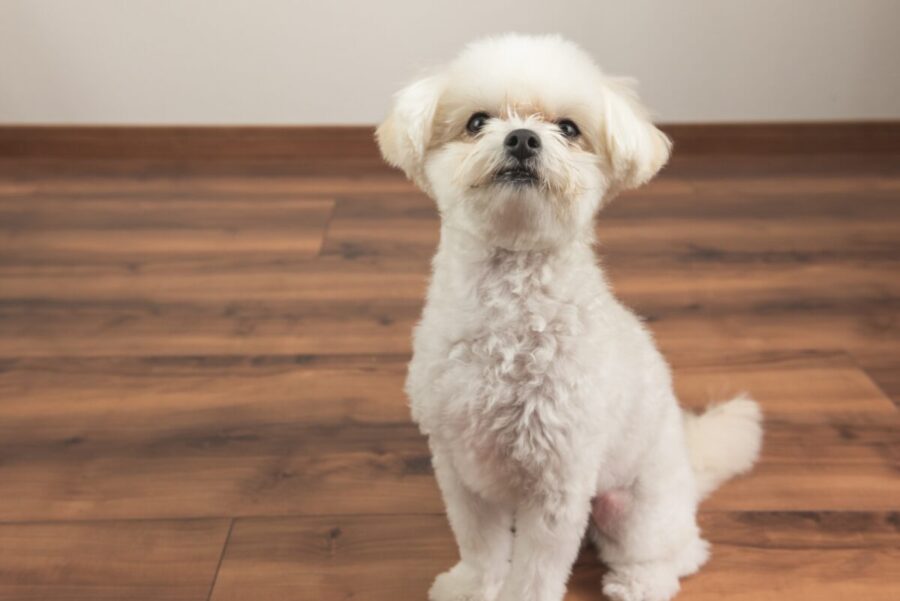 滑り抵抗イメージ